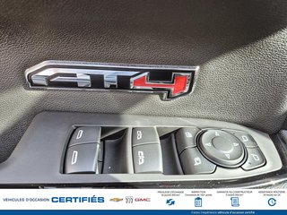 2024 GMC Sierra 1500 in Alma, Quebec - 20 - w320h240px