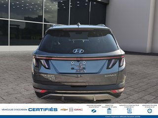 2024 Hyundai TUCSON Hybrid AWD Luxury in Alma, Quebec - 5 - w320h240px