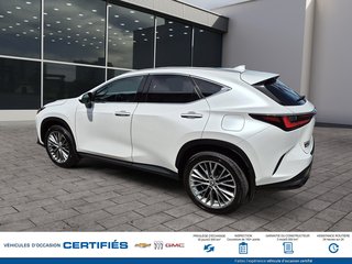 2022 Lexus NX 350 AWD in Alma, Quebec - 6 - w320h240px