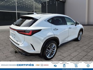 2022 Lexus NX 350 AWD in Alma, Quebec - 4 - w320h240px