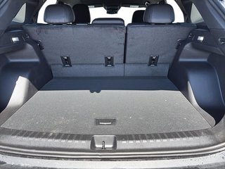 2025 Chevrolet Blazer EV LT in La Malbaie, Quebec - 6 - w320h240px