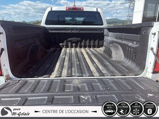 Chevrolet Colorado 4WD Work Truck 2020 à La Malbaie, Québec - 6 - w320h240px