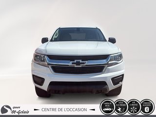 Chevrolet Colorado 4WD Work Truck 2020 à La Malbaie, Québec - 2 - w320h240px