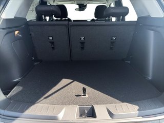 Chevrolet Trailblazer LT 2024 à La Malbaie, Québec - 6 - w320h240px