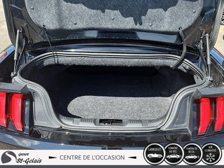 Ford Mustang  2018 à La Malbaie, Québec - 6 - w320h240px