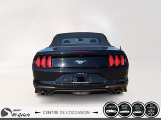 Mustang  2018 à La Malbaie, Québec - 3 - w320h240px