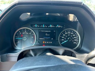 Ford F-150  2020 à Edmundston, Nouveau-Brunswick - 2 - w320h240px