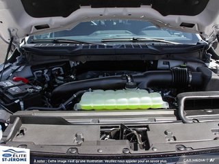 Ford F-150 XLT 2024 à Charlemagne, Québec - 6 - w320h240px
