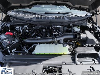 Ford F-150 XLT 2024 à Charlemagne, Québec - 6 - w320h240px