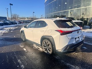 2020 Lexus UX 250h F-SPORT