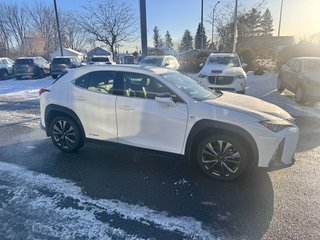 2020 Lexus UX 250h F-SPORT