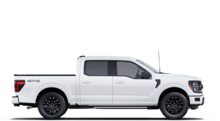 2025 Ford F-150 XLT in Surrey, British Columbia - 5 - w320h240px