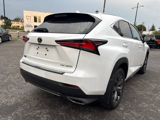 2021 Lexus NX NX 300 in Pointe-Aux-Trembles, Quebec - 6 - w320h240px