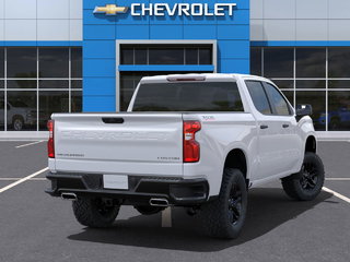 2025 Chevrolet Silverado 1500 Custom Trail Boss in Fredericton, New Brunswick - 4 - w320h240px