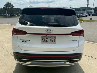 Hyundai Santa Fe Hybrid Luxury 2023 à Edmundston, Nouveau-Brunswick - 6 - w320h240px