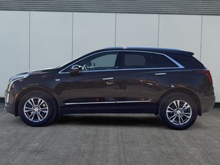 Cadillac XT5 AWD Premium Luxury 2021 à Drummondville, Québec - 5 - w320h240px