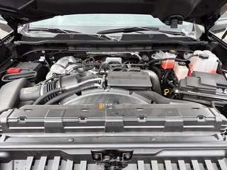 2025 Chevrolet Silverado 2500 HD CUSTOM in Drummondville, Quebec - 7 - w320h240px