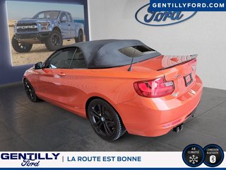 2015 BMW 2 Series 228i xDrive in Bécancour (Gentilly Sector), Quebec - 5 - w320h240px