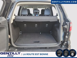 2022 Ford EcoSport Titanium in Bécancour (Gentilly Sector), Quebec - 6 - w320h240px