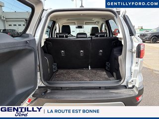 Ford EcoSport Titanium 2022 à Bécancour (Secteur Gentilly), Québec - 6 - w320h240px