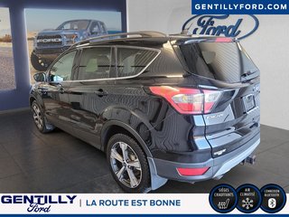 Ford Escape SEL 2018 à Bécancour (Secteur Gentilly), Québec - 5 - w320h240px