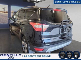Ford Escape SEL 2018 à Bécancour (Secteur Gentilly), Québec - 4 - w320h240px
