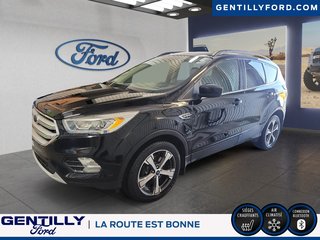 Ford Escape SEL 2018 à Bécancour (Secteur Gentilly), Québec - 6 - w320h240px