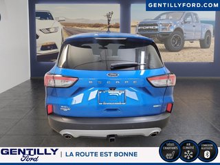 Ford Escape SEL 2020 à Bécancour (Secteur Gentilly), Québec - 3 - w320h240px