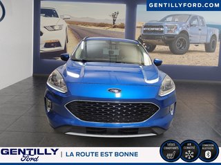 Ford Escape SEL 2020 à Bécancour (Secteur Gentilly), Québec - 2 - w320h240px