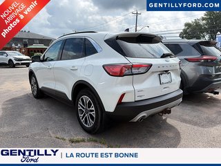 Ford Escape SEL 2020 à Bécancour (Secteur Gentilly), Québec - 3 - w320h240px