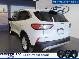 2021 Ford Escape SE Hybrid in Bécancour (Gentilly Sector), Quebec - 4 - w320h240px