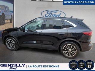 Ford Escape PHEV 2023 à Bécancour (Secteur Gentilly), Québec - 5 - w320h240px