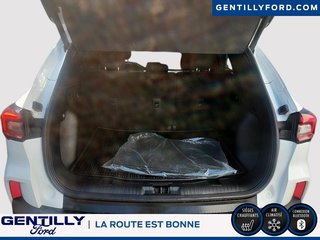2024 Ford Escape Active,Groupe électrique,AWD in Bécancour (Gentilly Sector), Quebec - 6 - w320h240px