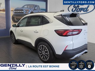 Ford Escape PHEV 2025 à Bécancour (Secteur Gentilly), Québec - 5 - w320h240px