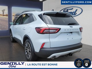 Ford Escape PHEV 2025 à Bécancour (Secteur Gentilly), Québec - 4 - w320h240px