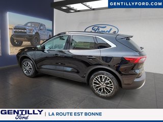 Ford Escape PHEV 2025 à Bécancour (Secteur Gentilly), Québec - 5 - w320h240px