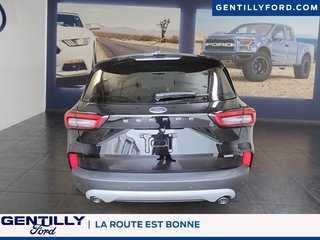 Ford Escape PHEV 2025 à Bécancour (Secteur Gentilly), Québec - 3 - w320h240px