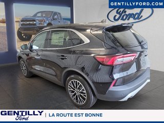 Ford Escape PHEV 2025 à Bécancour (Secteur Gentilly), Québec - 5 - w320h240px