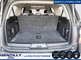 Expedition Platinum Max 2021 à Bécancour (Secteur Gentilly), Québec - 6 - w320h240px