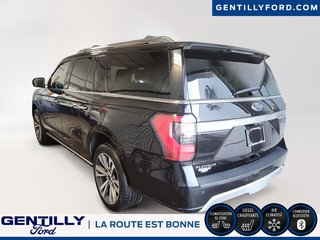 Expedition Platinum Max 2021 à Bécancour (Secteur Gentilly), Québec - 4 - w320h240px