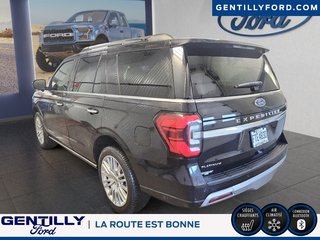 2024 Ford Expedition Platinum in Bécancour (Gentilly Sector), Quebec - 4 - w320h240px