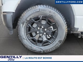 2025 Ford F-150 Lightning Pro in Bécancour (Gentilly Sector), Quebec - 6 - w320h240px