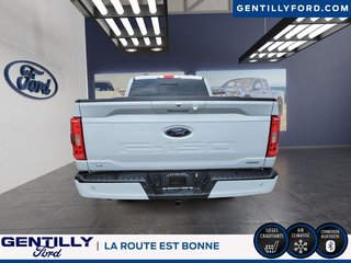 Ford F-150  2022 à Bécancour (Secteur Gentilly), Québec - 3 - w320h240px