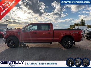 Ford F-150  2023 à Bécancour (Secteur Gentilly), Québec - 4 - w320h240px