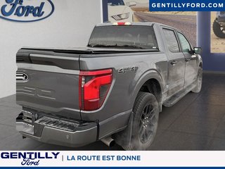 Ford F-150 STX 2024 à Bécancour (Secteur Gentilly), Québec - 6 - w320h240px
