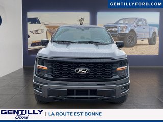 Ford F-150 STX 2024 à Bécancour (Secteur Gentilly), Québec - 3 - w320h240px