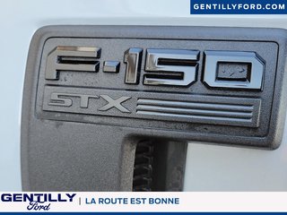 2025 Ford F-150 STX in Bécancour (Gentilly Sector), Quebec - 6 - w320h240px