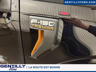 Ford F-150 Tremor 2025 à Bécancour (Secteur Gentilly), Québec - 6 - w320h240px
