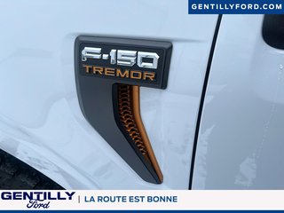2025 Ford F-150 Tremor in Bécancour (Gentilly Sector), Quebec - 6 - w320h240px