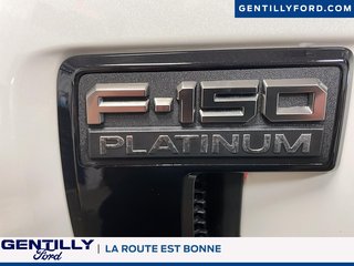 2025 Ford F-150 Platinum in Bécancour (Gentilly Sector), Quebec - 6 - w320h240px